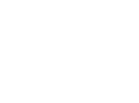 The Flower Shop Beeston in Beeston Logo